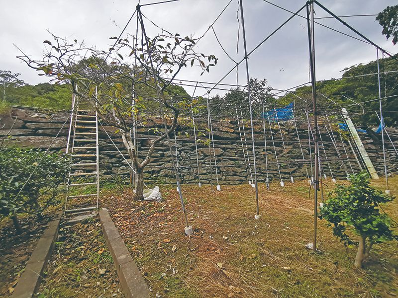 長崎市畝刈町 写真