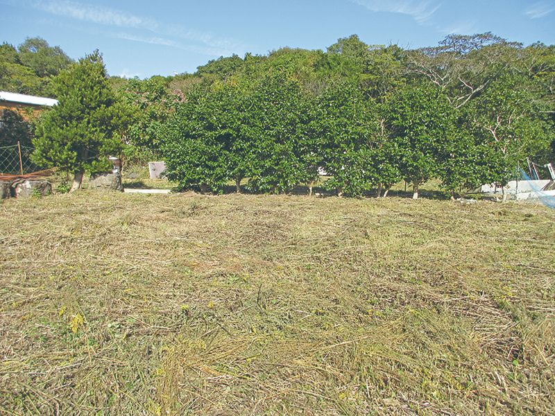 長崎市畝刈町の中古住宅｜10SLDK・2,400万円 写真 7