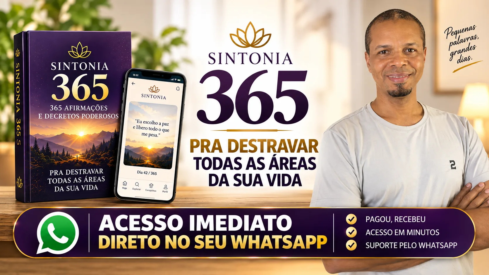 Sintonia 365 — acesso imediato direto no seu WhatsApp