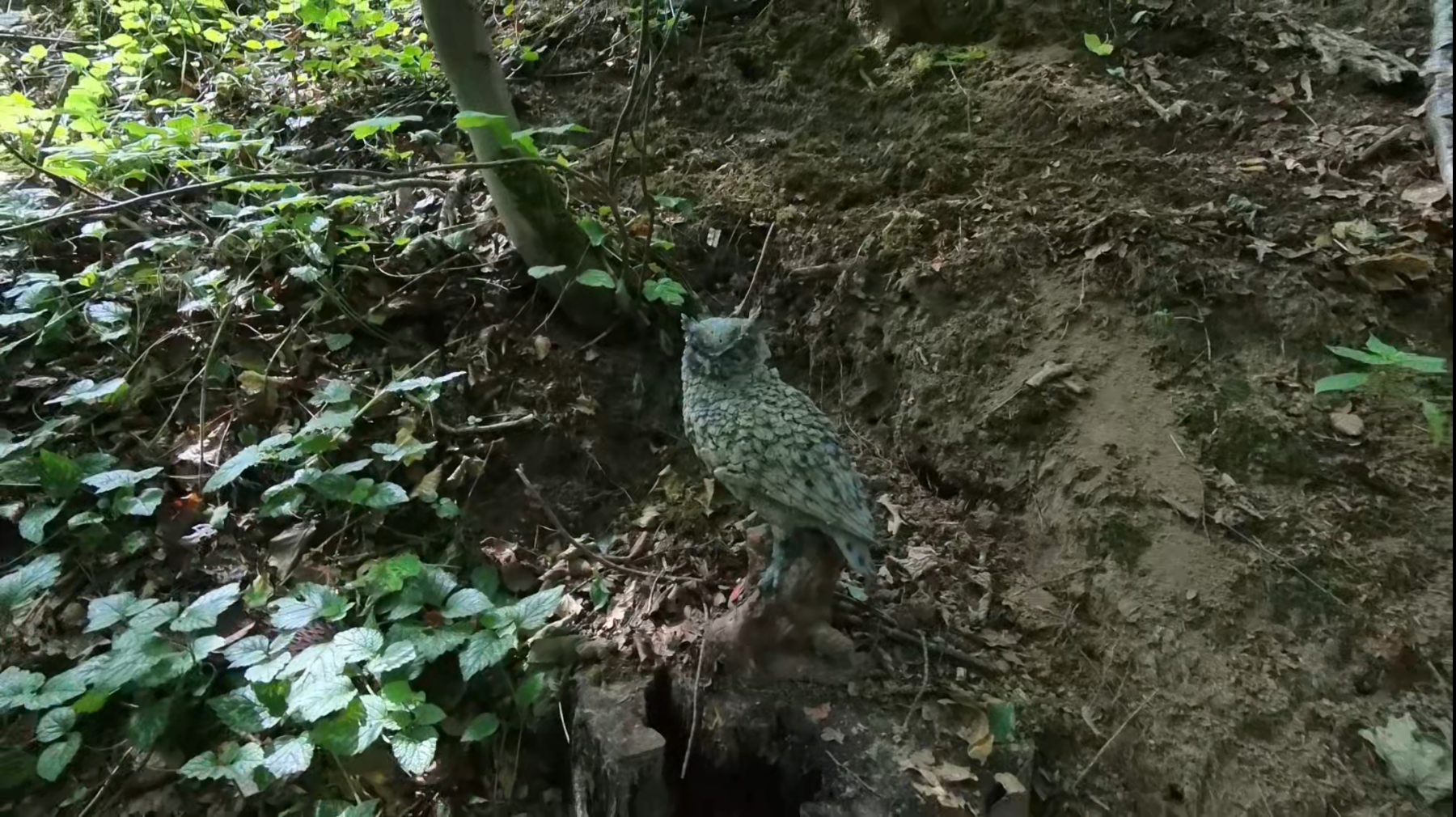 Deutsche Meisterschaft Feldbogen 2025, Foto 34