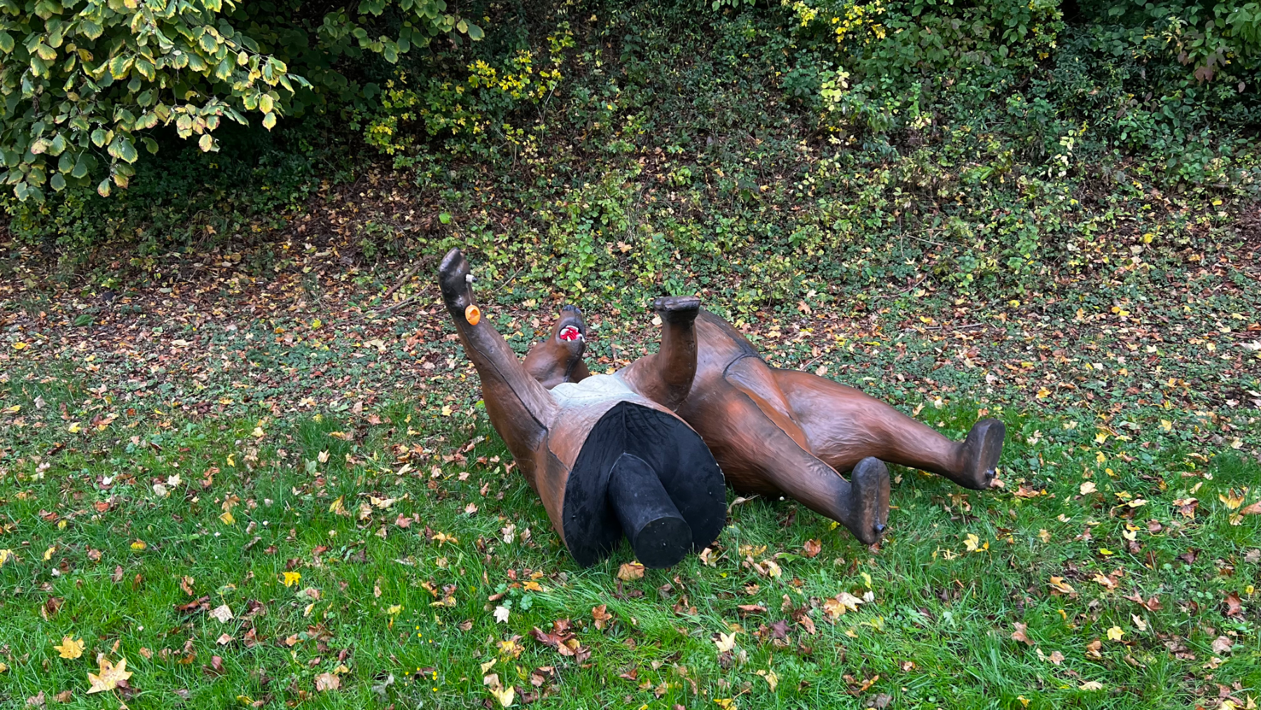 Arbeitseinsatz Herbst 2025, Foto 16