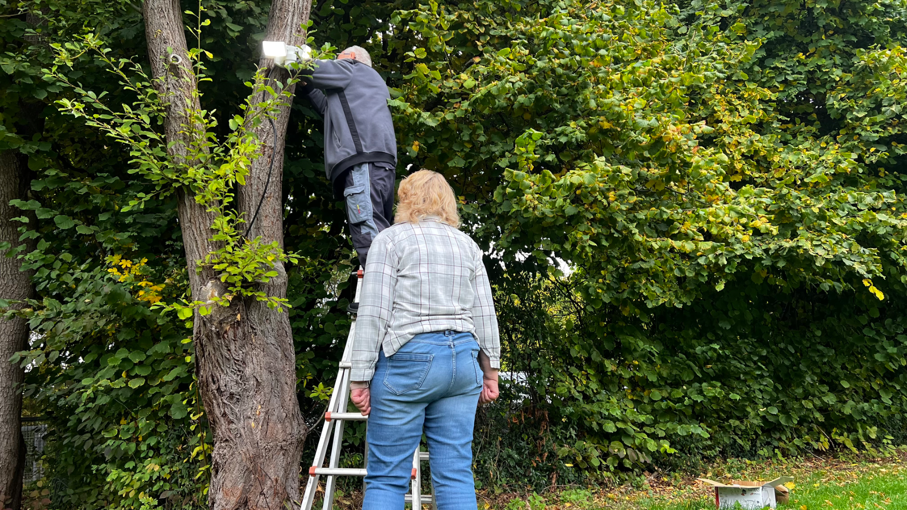 Arbeitseinsatz Herbst 2025, Foto 12