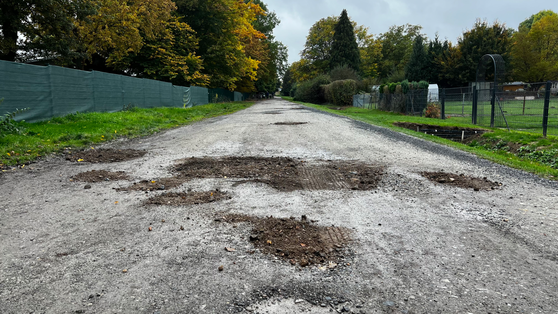 Arbeitseinsatz Herbst 2025, Foto 8