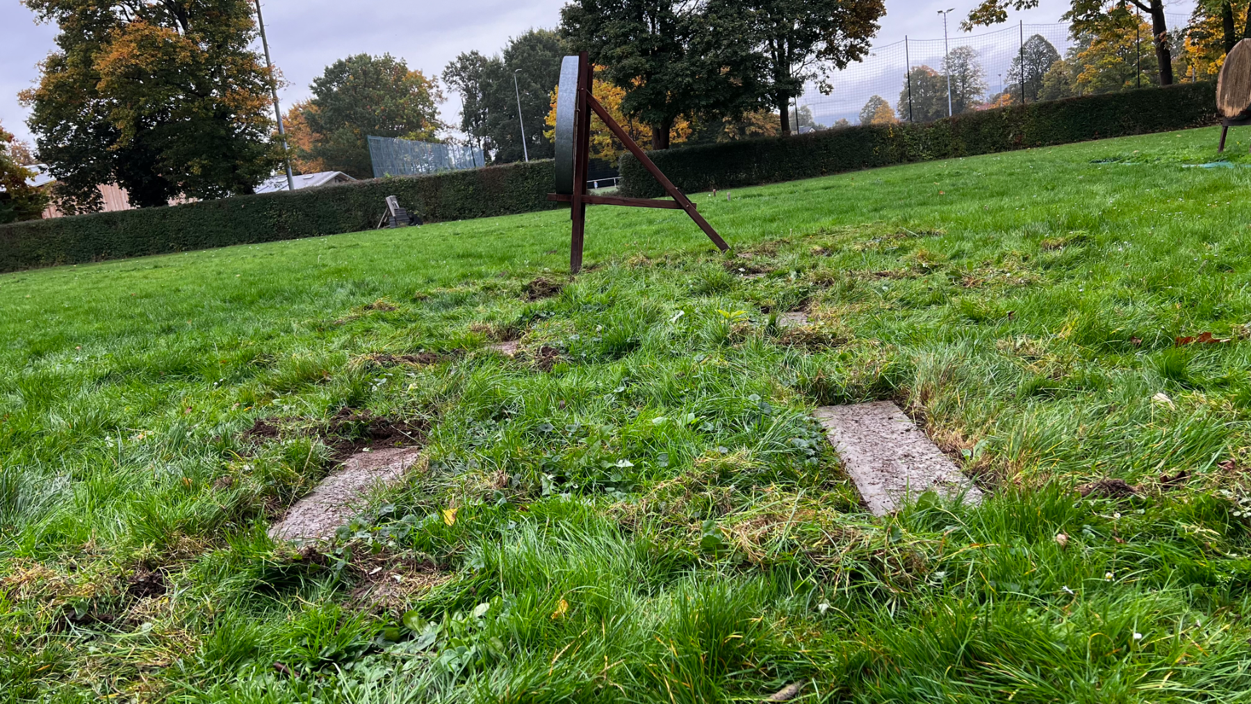 Arbeitseinsatz Herbst 2025, Foto 6