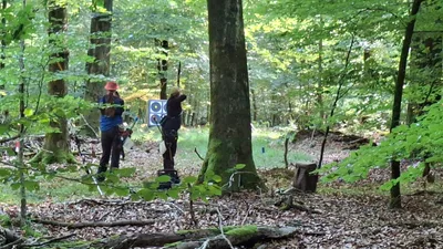 Schützen an einem Feldbogenziel zwischen den Bäumen im Parcours von Kellinghusen