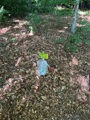 Gelbe Stationsmarkierung auf dem Waldboden im Feldbogenparcours von Kellinghusen