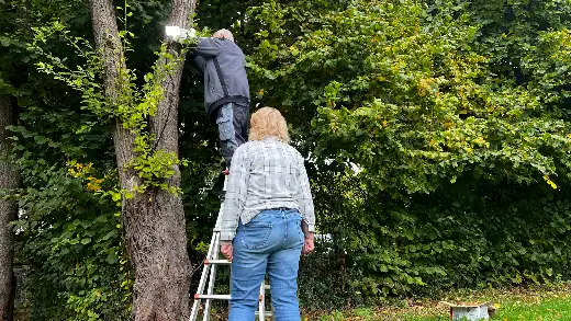 Arbeitseinsatz Herbst 2025, Foto 12