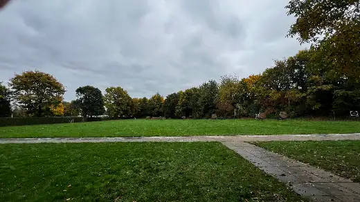 Arbeitseinsatz Herbst 2025, Foto 1