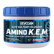EVOGEN AMINO KEM BLUEBERRY APPLE 30 SERV