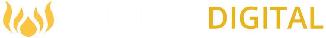 Sumeru Digital Solutions logo
