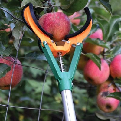 أداة التقاط الفاكهة التلسكوبية