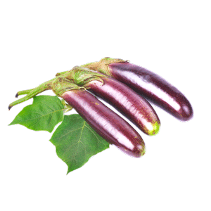 Indian Eggplant