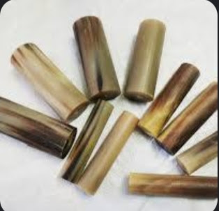 Buffalo Horn Rolls - ASBHR02 - Image 3 - HORN ROLLS | Viking Craft Store