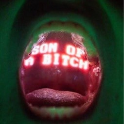 NGL profile picture for @incoherent