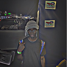 NGL profile picture for @bittorrent