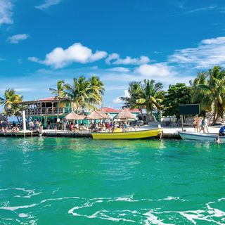 NGL profile picture for @belize