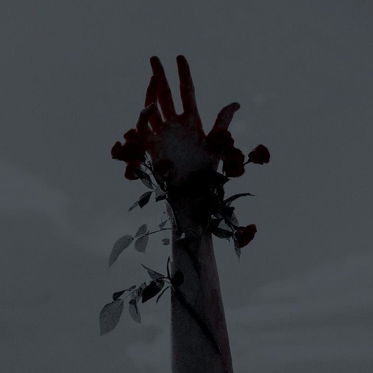 NGL profile picture for @anxiety