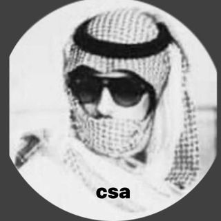 NGL profile picture for @csa