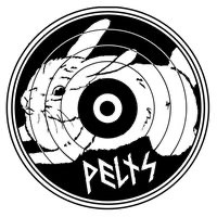 NGL profile picture for @pelts
