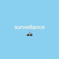 NGL profile picture for @surveillance
