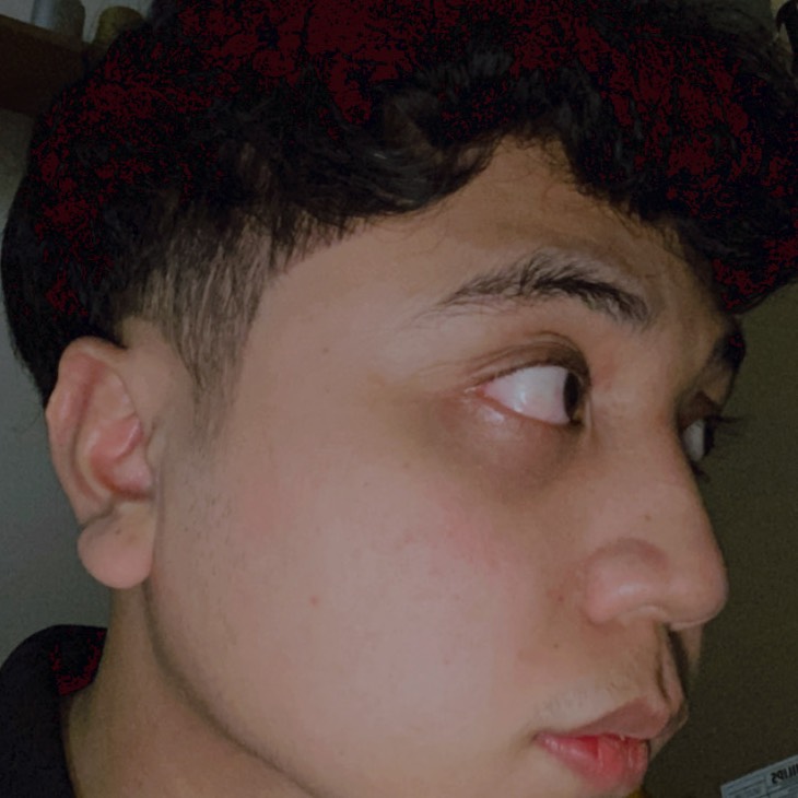 NGL profile picture for @frsirfn