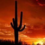 NGL profile picture for @tucson