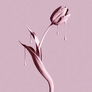 NGL profile picture for @petal