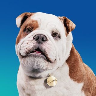 NGL profile picture for @churchill
