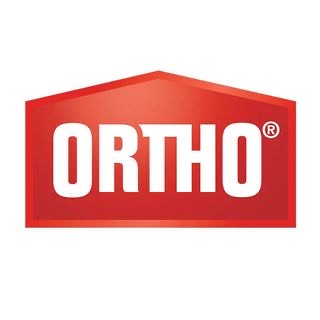 NGL profile picture for @ortho