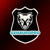 NGL profile picture for @gxmauropro
