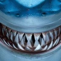 NGL profile picture for @jaws