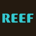 NGL profile picture for @reef