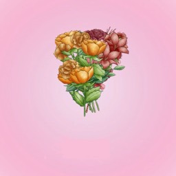 NGL profile picture for @furniture