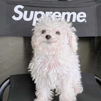 NGL profile picture for @puffed