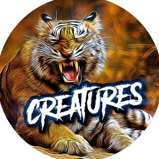 NGL profile picture for @creatures