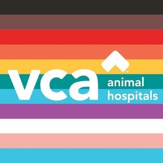 NGL profile picture for @vca