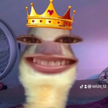 NGL profile picture for @seize