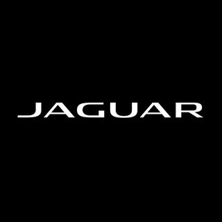 NGL profile picture for @jaguar