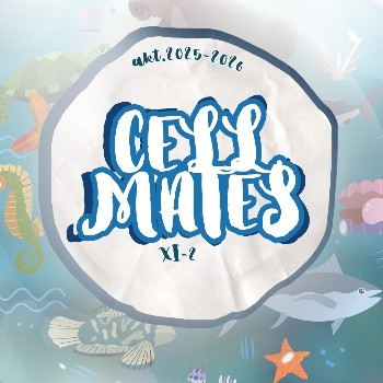 NGL profile picture for @cellmates