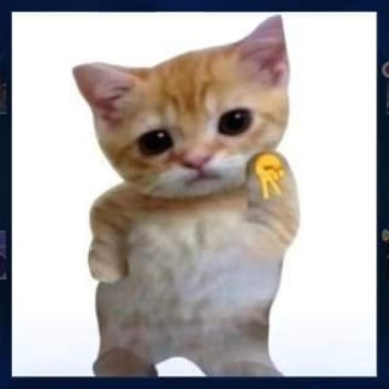 NGL profile picture for @nohomo
