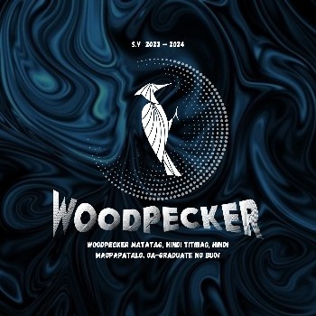 NGL profile picture for @woodpecker