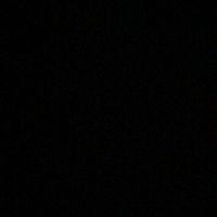 NGL profile picture for @vomit