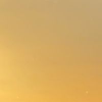 NGL profile picture for @present