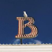 NGL profile picture for @brighton