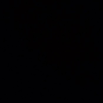 NGL profile picture for @shafaqat