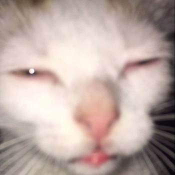 NGL profile picture for @pints
