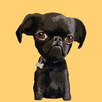 NGL profile picture for @pluto