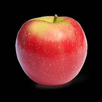 NGL profile picture for @appease