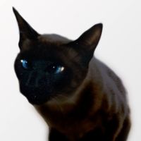 NGL profile picture for @skynet