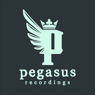 NGL profile picture for @pegasus